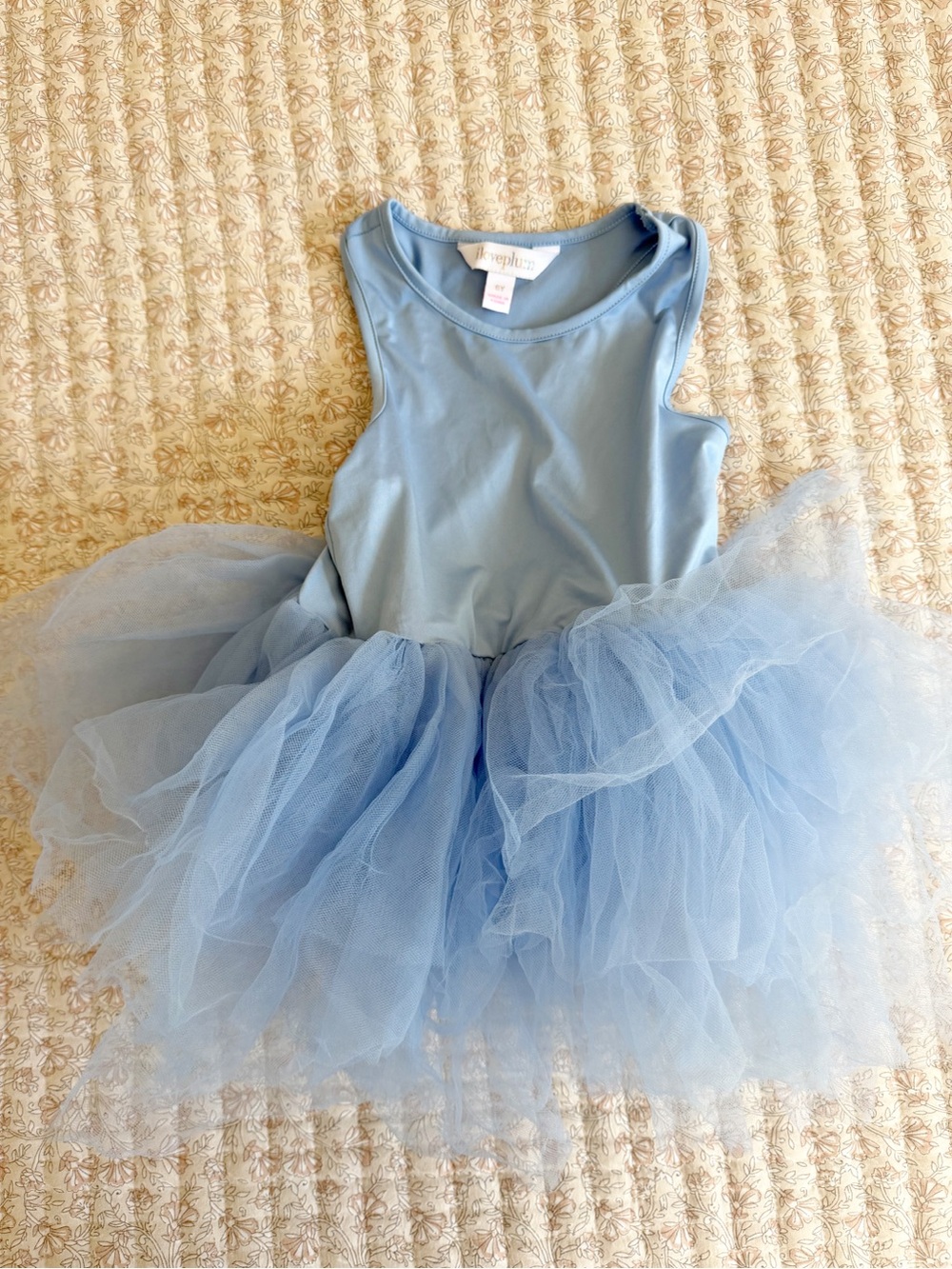 Girls Light Blue Tulle Ballet Dress by Jumping Beans